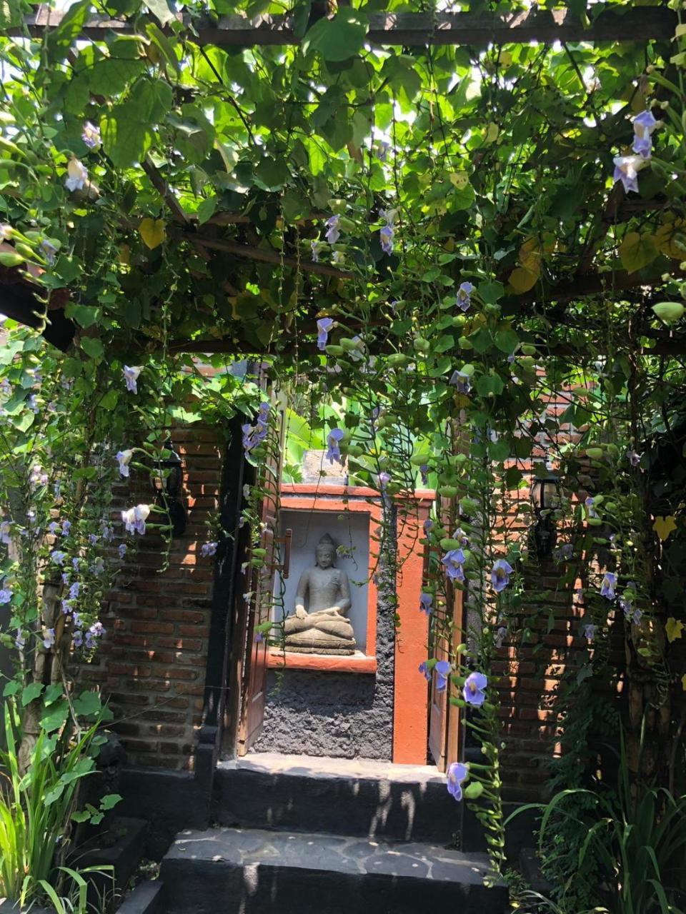 Tribe Theory Startup Village For Entrepreneurs Kuta Lombok Zewnętrze zdjęcie